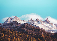 乐鱼VIP注册指南：畅享专属特权与高额福利